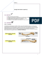 Unidad Temática 12. - Osteología Miembro Superior I