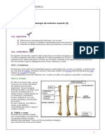 Unidad Temática 13. - Osteología Miembro Superior II