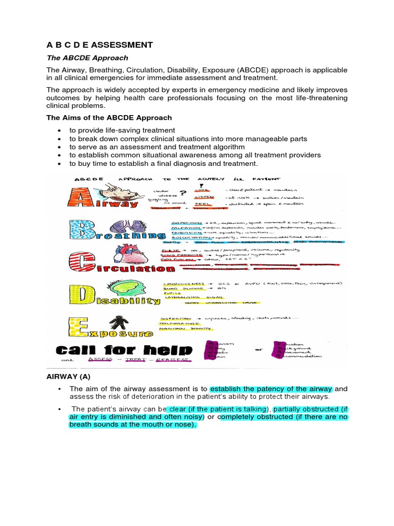 A B C D e Assessment | PDF | Heart | Breathing