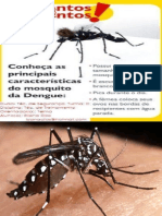 Slide Sobre A Dengue