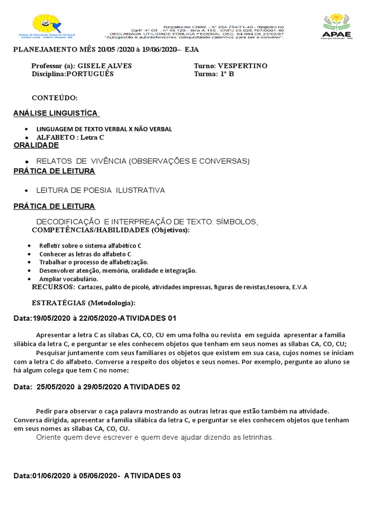 Plano de Aula Educação Especial | PDF | Alfabetização