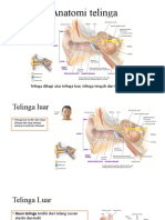 Anatomi Telinga Meh
