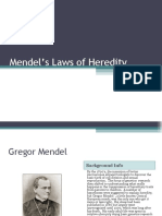 Mendels Laws of Heredity