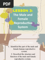 Lesson 3 Male and Female Rep. System