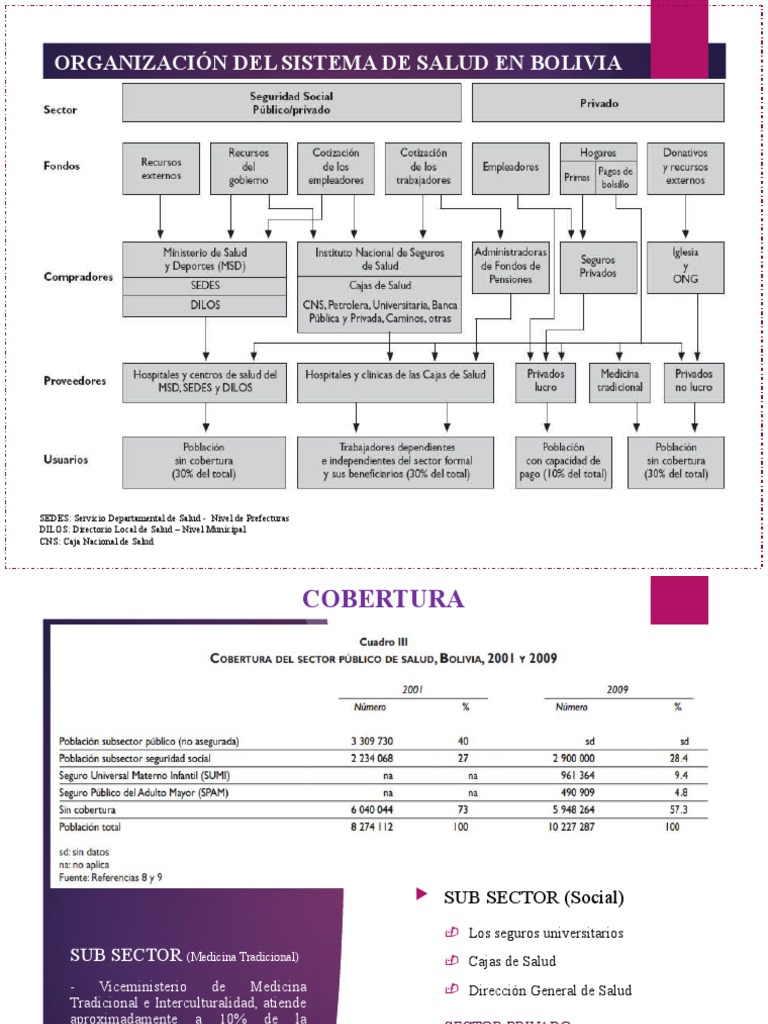 Organización Del Sistema de Salud en Bolivia | PDF | Ciencias de la ...