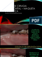 Taller de Cirugia Periodontal - Maqueta Biológica