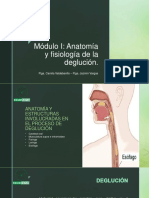 Módulo I Anatomia y Fisiologia