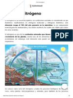 Ciclo del nitrógeno: procesos y factores