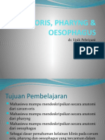 Cavum Oris, Pharyng & Oesophagus