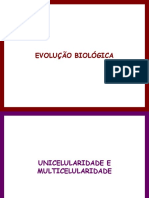 PP-07-Da Unicelularidade à Multicelularidade