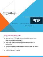Photosynthesis Lab (BT155IU) - Practical 3 Questions