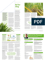 A Research Model For Arbon Partitioning in Sugarcane