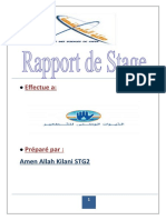 Rapport de Stage