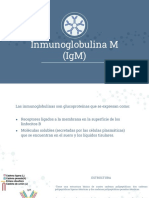 IgM estructura función