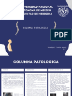 Columna Patologica. Velazquez Tavera Karen.3117