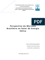 Perspectiva Do Mercado Brasileiro No Setor de Energia Eó L I Ca