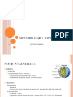 curs 7- AMG- lipide 