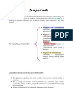 Clasificación Instrumental