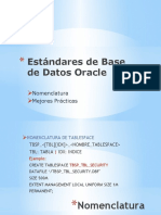 Estandar Base Datos Oracle