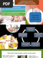 Reflejos Del Recién Nacido-Dorita