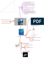 Mindmap 2 - 5C - Dania Purnama