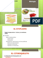 3 Citoplasma, Citoesqueleto y Sistema de Endomembranas