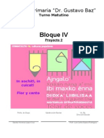 6to Grado - Bloque 4- Proyecto 2