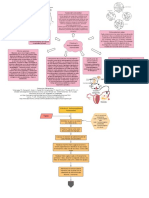 Previo Anticonceptivos Hormonales