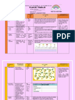 ?1° Sem.5 Plan Miss Fer