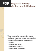 Download Hemorragias Del Primer y Segundo Trimestre Del Embarazo by Raquel Eugenia SN54485862 doc pdf