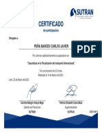 Constancia SCF21-8917 23032021