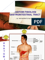 Anatomi Git (Gastrointestinal Tract)