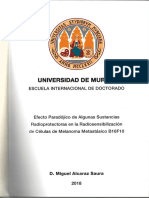 Tesis Doctoral Miguel Alcaraz Saura