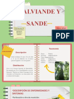 Chalviande y Sande-2