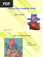 Download Jantung Dan Pembuluh Darah by ririhena SN54489571 doc pdf