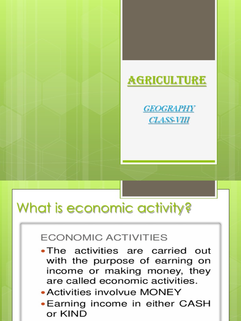Understanding Agricultural Economic Activities | PDF | Agriculture | Farms