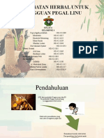 Pengobatan Herbal Untuk Gangguan Pegal Linu