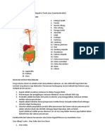 Sistem Saluran Pencernaan