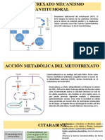 Mecanismo antitumoral MTX