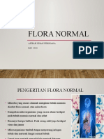 Flora-Normal ppt1