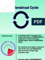 Notes - The Menstrual Cycle