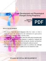 Fetal Development and Physiological Changes During Pregnancy Explained