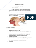 The Pituitary Gland Phamela Joy S. Alvarez Anatomic and Physiologic Overview