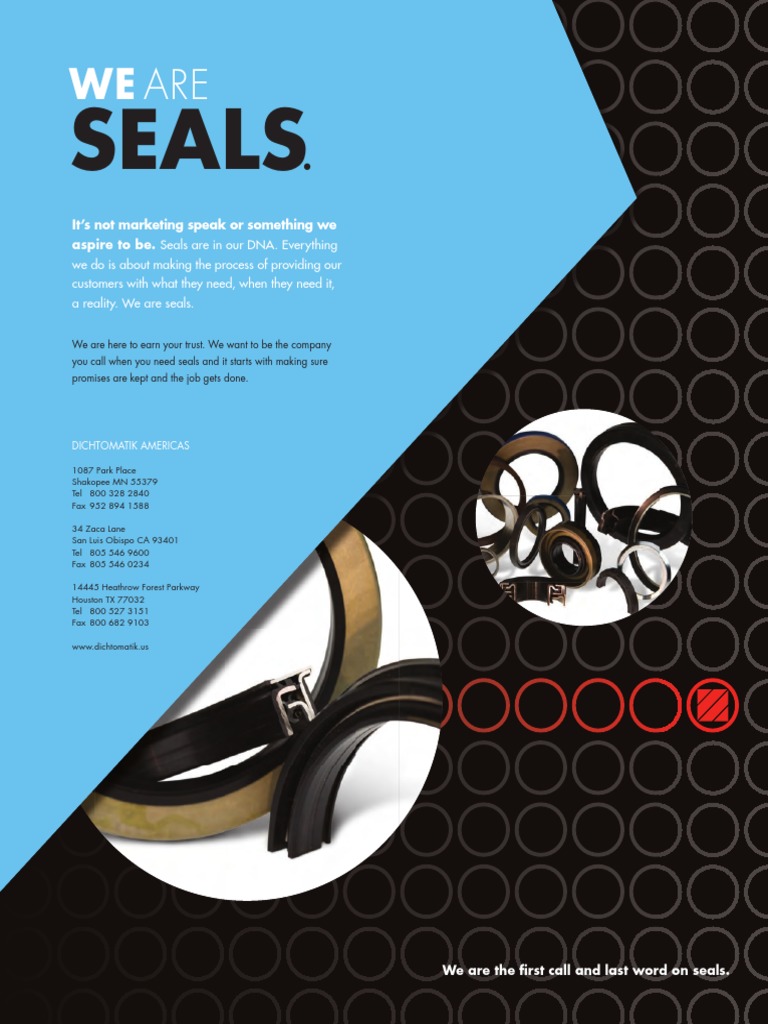 Dichtomatik Oil Seal Catalog 2012 PDF Steel Stainless Steel