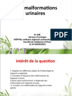 Présentation_AMINE_DIB_malformation_urinaire
