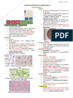 Corynebacterium Dan Bordetella