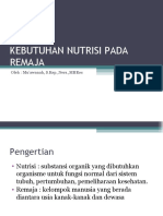 Kebutuhan Nutrisi Pada Remaja