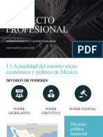 Proyecto Profesional