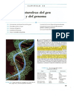 Cap10 G.karp Gen y Genoma Introduccion Cod16