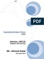 Mr. Ahmed Galal – Organizational Design Theory